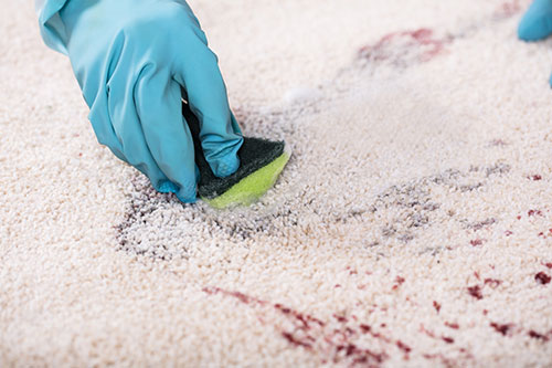 Rugs Cleaning